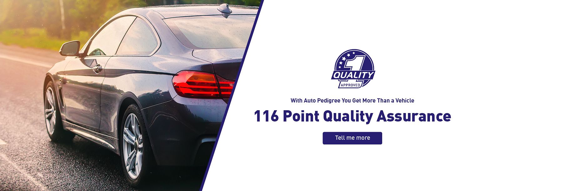 Auto Pedigree 116 Quality Check