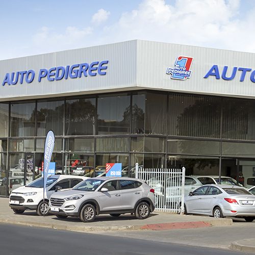 Auto Pedigree Bloemfontein Zastron St