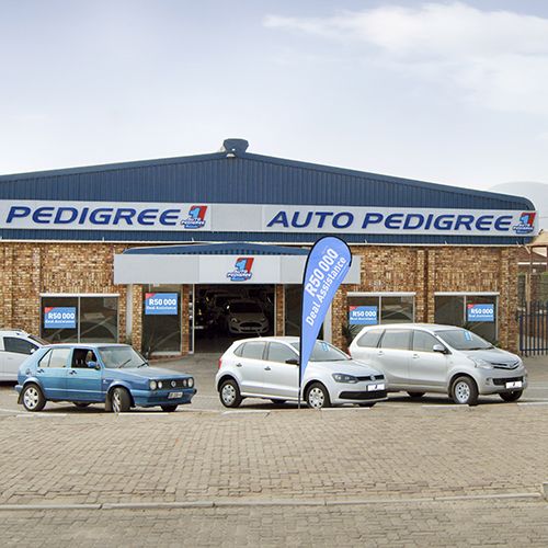 Auto Pedigree Burgersfort