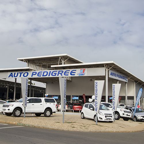 Auto Pedigree Kempton Park