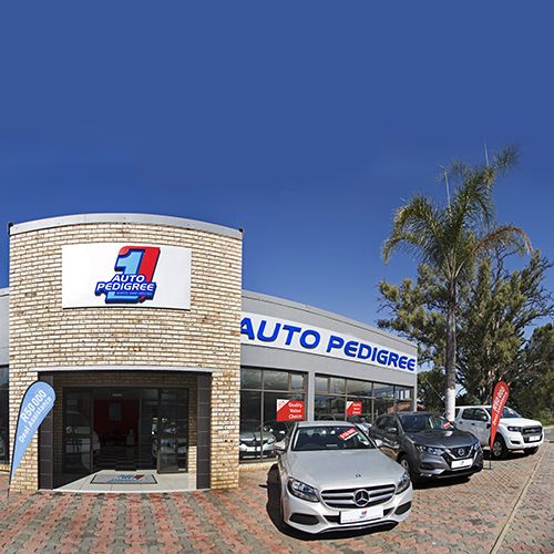 Auto Pedigree Ladysmith