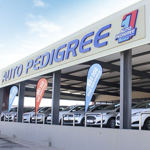 Auto Pedigree Middelburg