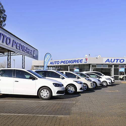 Auto Pedigree Midrand