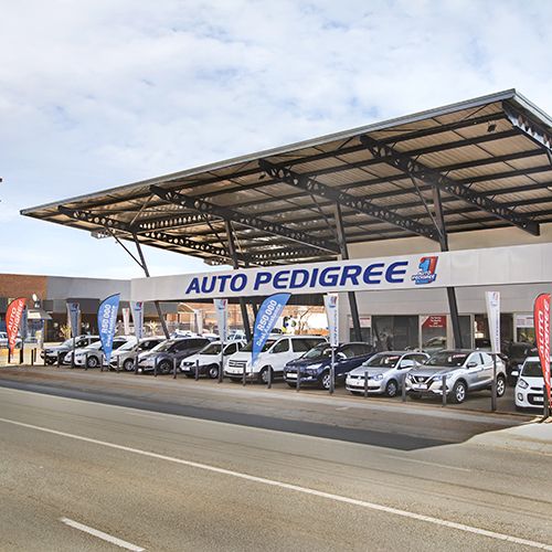 Auto Pedigree Pretoria North