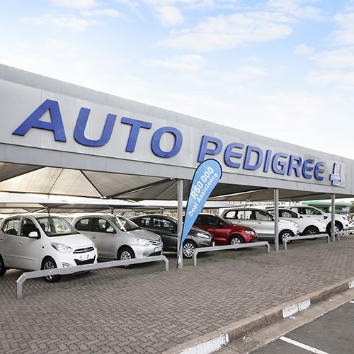 Auto Pedigree Richards Bay