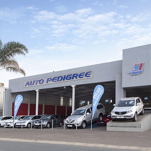 Auto Pedigree Witbank